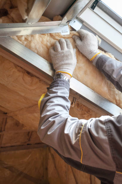 Best Insulation Installation Services in Spring Valley Village, TX